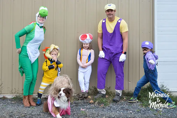Super Mario Family Halloween Costumes