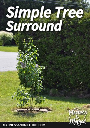 Simple Tree Surround | Madness & Method