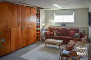 basement living room