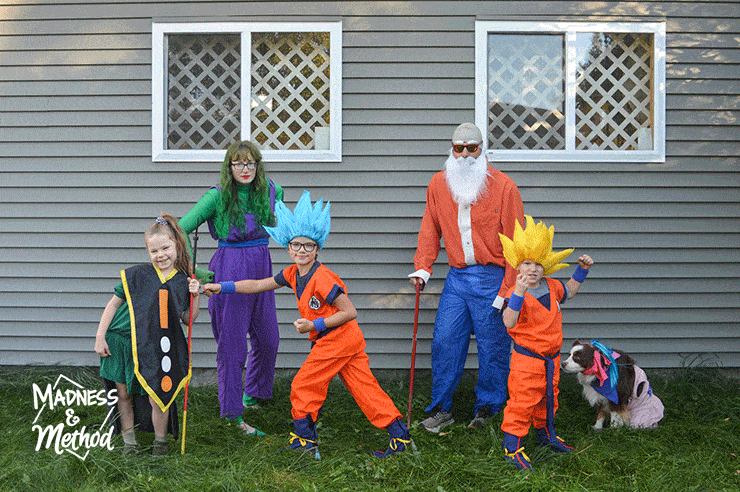 dragon ball family costumes